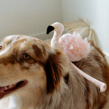 Load image into Gallery viewer, LAMBWOLF COLLECTIVE - FLAMINGO
