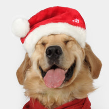 Load image into Gallery viewer, GIZZLS - NAUGHTY &amp; NICE SOFT CHRISTMAS TREATS
