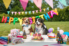 Load image into Gallery viewer, CROCI - PARTY CANDLES SNACK
