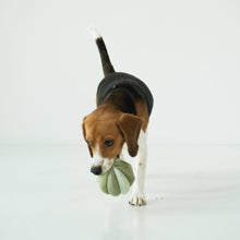 Load image into Gallery viewer, LAMBWOLF COLLECTIVE - TOTO - SILENT
