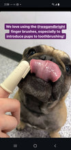 Load image into Gallery viewer, WAG &amp; BRIGHT - PUPPY POLISHER - FINGER BRUSH
