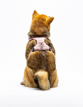 Load image into Gallery viewer, UNITED PETS - PADDED SOFT HARNESS - PINK
