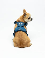 Load image into Gallery viewer, UNITED PETS - PADDED SOFT HARNESS - DENIM
