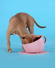 Load image into Gallery viewer, UNITED PETS - ECO-FRIENDLY ANTI-SPLASH TALL BOWL

