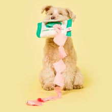 Load image into Gallery viewer, THE FURRYFOLKS - DOGGO WIPES
