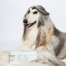 Load image into Gallery viewer, LOMI - BAMBOO GROOMING WIPES -  PREMIUM SIZE

