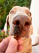 Load image into Gallery viewer, COOKA&#39;S COOKIES - CHICKEN HEARTS
