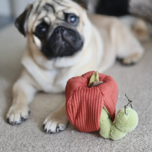 Load image into Gallery viewer, LAMBWOLF COLLECTIVE - APPLE SET
