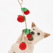 Load image into Gallery viewer, THE FURRYFOLKS - CHERRY TOMATO WORK &amp; TUG
