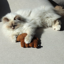 Load image into Gallery viewer, D&amp;D HOME COLLECTION - ZOEY
