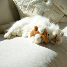 Load image into Gallery viewer, D&amp;D HOME COLLECTION - ZOEY
