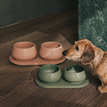 Load image into Gallery viewer, PINO PETS - TRAY FOR DOGS - CROCODILE

