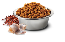Load image into Gallery viewer, FARMINA QUINOA - ADULT CAT - SKIN &amp; COAT - HERRING, QUINOA, COCONUT &amp; TURMERIC
