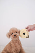 Load image into Gallery viewer, LAMBWOLF COLLECTIVE - POPPY
