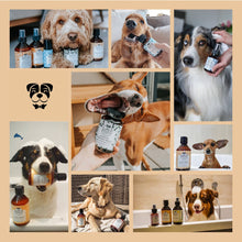 Load image into Gallery viewer, BELLY - NEAT DOG - FRAGRANCE VANILLA &amp; ORANGE
