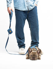Load image into Gallery viewer, UNITED PETS - SOFT PADDED LEASH - DENIM
