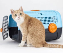 Load image into Gallery viewer, UNITED PETS - A.U.T.O. - RIGID CARRIER WITH HYGIENIC MAT
