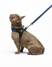 Load image into Gallery viewer, UNITED PETS - SOFT PADDED LEASH - DENIM
