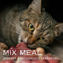 Load image into Gallery viewer, PAMICO - FREEZE DRIED HORSE MEAT - MIX MEAL DRY BARF
