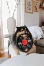 Load image into Gallery viewer, LAMBWOLF COLLECTIVE - BARK TO BEAT
