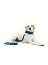 Load image into Gallery viewer, UNITED PETS - LEASH WITH PADDED HANDLE - DENIM
