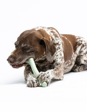Load image into Gallery viewer, UNITED PETS - MR. BRANCH
