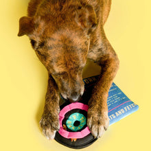 Load image into Gallery viewer, THE FURRYFOLKS - VINYL
