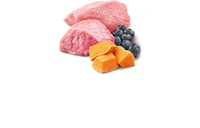 Load image into Gallery viewer, FARMINA PUMPKIN - PUPPY - LAMB, PUMPKIN &amp; BLUEBERRIES
