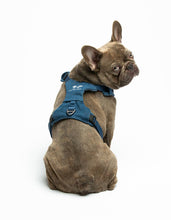 Load image into Gallery viewer, UNITED PETS - PADDED SOFT HARNESS - DENIM
