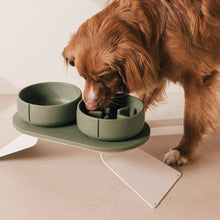 Load image into Gallery viewer, PINO PETS - TRAY FOR DOGS - CROCODILE

