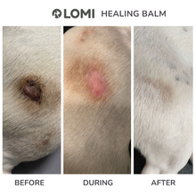 Load image into Gallery viewer, LOMI - HEALING BALM - FOR DOGS &amp; CATS
