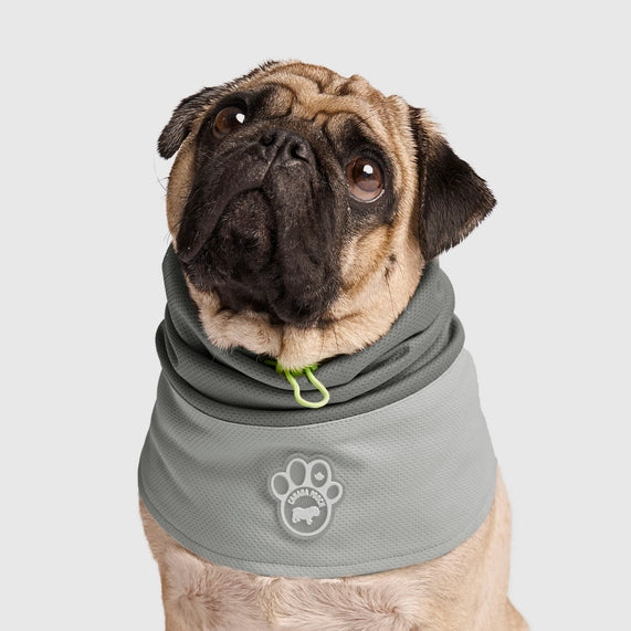 CANADA POOCH - MAX CHILL COOLING SNOOD - GREY