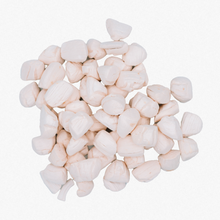 Load image into Gallery viewer, WILD N FRESH TREATS - FREEZE-DRIED SCALLOPS
