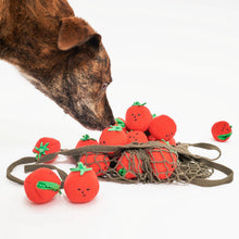 Load image into Gallery viewer, THE FURRYFOLKS - CHERRY TOMATO WORK &amp; TUG
