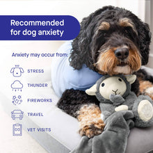 Load image into Gallery viewer, CANADA POOCH - WEIGHTED CALMING TOY
