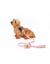 Load image into Gallery viewer, UNITED PETS - SOFT PADDED LEASH - PINK
