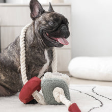 Load image into Gallery viewer, LAMBWOLF COLLECTIVE - XMAS BLOCS
