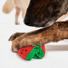 Load image into Gallery viewer, THE FURRYFOLKS - CHERRY TOMATO WORK &amp; TUG
