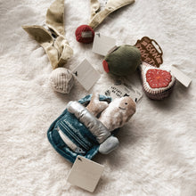 Load image into Gallery viewer, LAMBWOLF COLLECTIVE - KITTY RADISH
