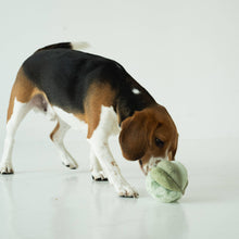 Load image into Gallery viewer, LAMBWOLF COLLECTIVE - TOTO - SILENT
