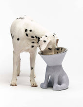 Load image into Gallery viewer, UNITED PETS - ELIZABETH - THE QUEEN OF BOWL
