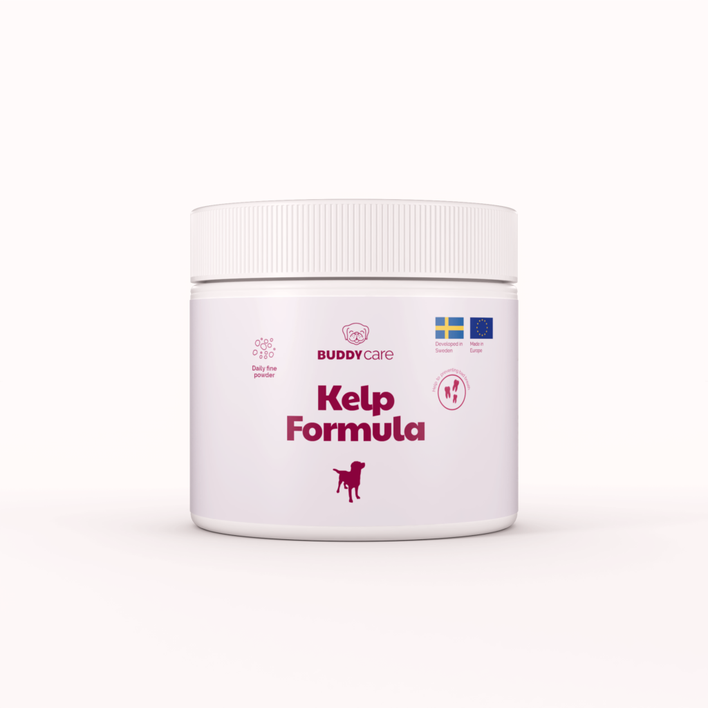BUDDY PET FOODS - KELP FORMULA