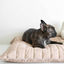 Load image into Gallery viewer, LAMBWOLF COLLECTIVE - MAATIN - BED - PLUM
