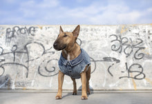 Load image into Gallery viewer, CANADA POOCH - DOWNTOWN DENIM DOG VEST
