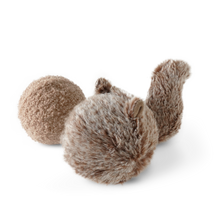 Load image into Gallery viewer, LAMBWOLF COLLECTIVE - SQUIRREL POP
