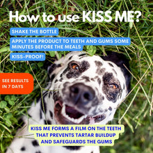 Load image into Gallery viewer, JAMPY - KISS ME DENTAL SPRAY
