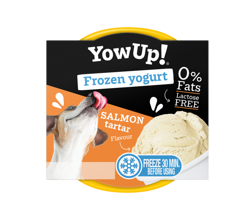 YOWUP! FROZEN YOGURT - SALMON TARTAR