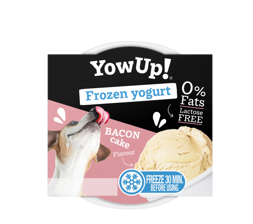 YOWUP! FROZEN YOGURT - BACON CAKE