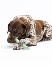 Load image into Gallery viewer, UNITED PETS - MR. BRANCH
