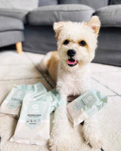 Load image into Gallery viewer, LOMI - BAMBOO GROOMING WIPES - TRAVEL SIZE
